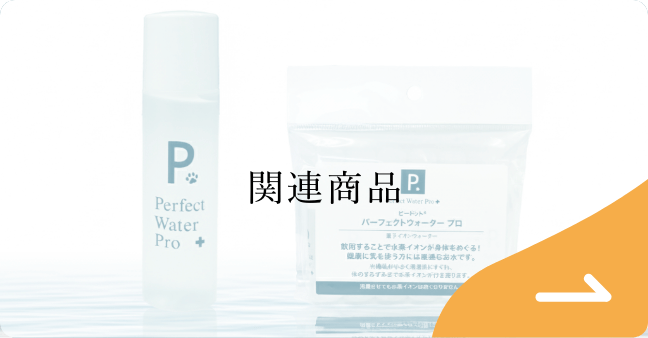 関連商品